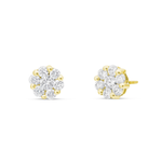 14k White Gold .25ct Diamond Stud Earrings
