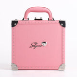 New Collection Shyne Jewelry Travel Carry Case