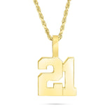 Shyne Collection 10K Solid Gold Two Digit Number Pendant