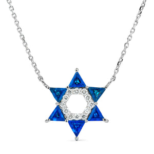 14k White Gold Star of David Necklace
