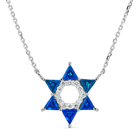 14k White Gold Star of David Necklace