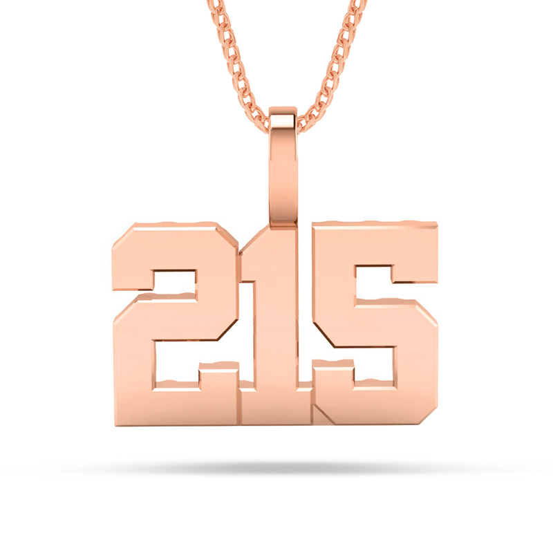 Shyne Collection 10k Solid Gold Three Digit Number Pendant