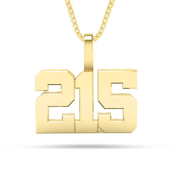 Shyne Collection 10k Solid Gold Three Digit Number Pendant