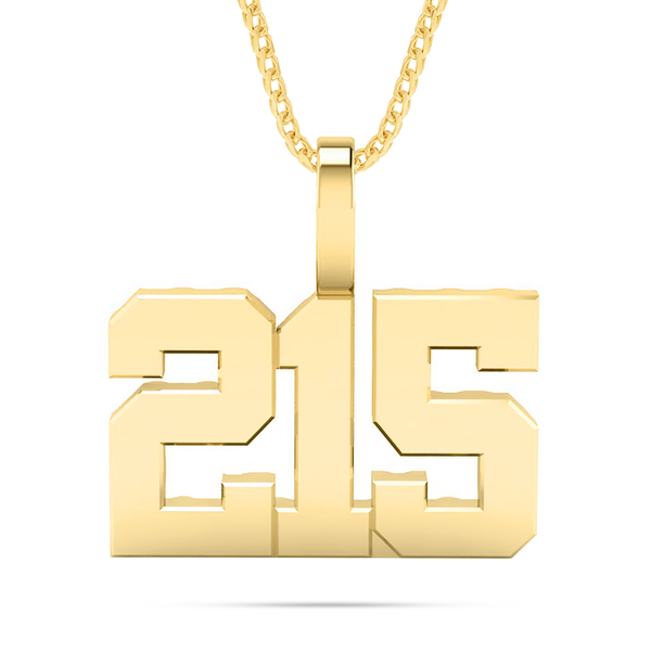 Shyne Collection 10k Solid Gold Three Digit Number Pendant