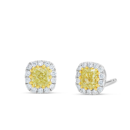 Yellow Diamond Halo Studs - Shyne Jewelers Shyne Jewelers